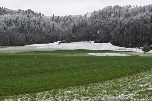 DSC_6630.f.jpg