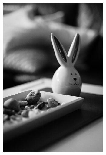 x Ostern 2026 (1 von 1).jpg