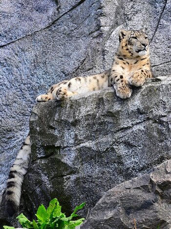 DSC_7621_01_k.jpg