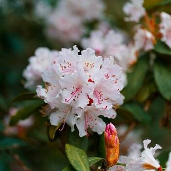 2403_BotanischerGarten_00254_02.jpg