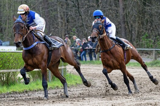 DSC_2916_DxO - Kopie.jpg