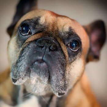 Daisy231225-3.jpg