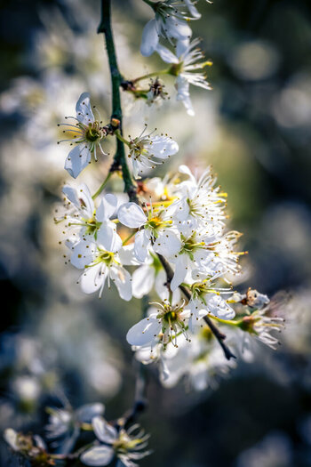 BR070426-3.jpg