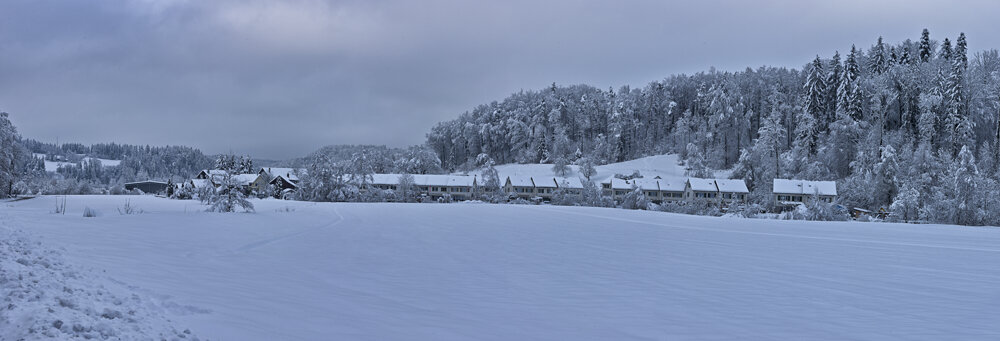 Neues Panorama 2.f.jpg
