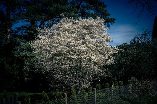 BR070426-5.jpg