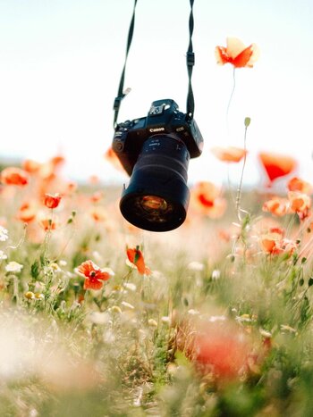 Eine moderne Kamera mit Makro-Objektiv hängt an einem Gurt über einem Feld mit roten Mohnblumen