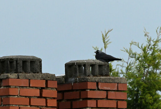 DSC_2399_030.JPG