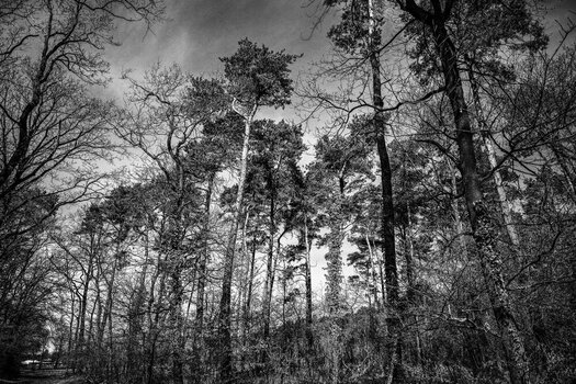BR070426-40.jpg