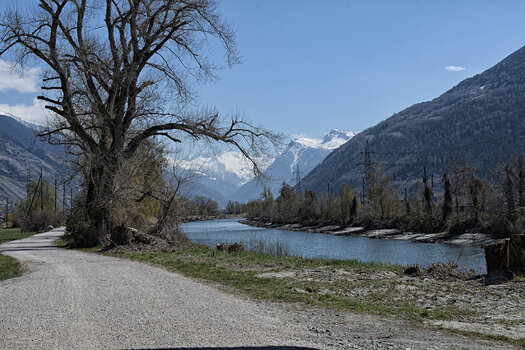 DSC_6680.f.jpg