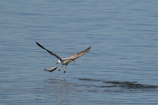 Z8B_8542_DxO_NFO.JPG