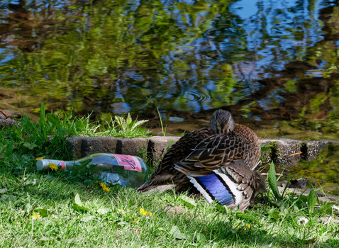 DSC_1223-DxO_DeepPRIME XD2s_DxO.jpg