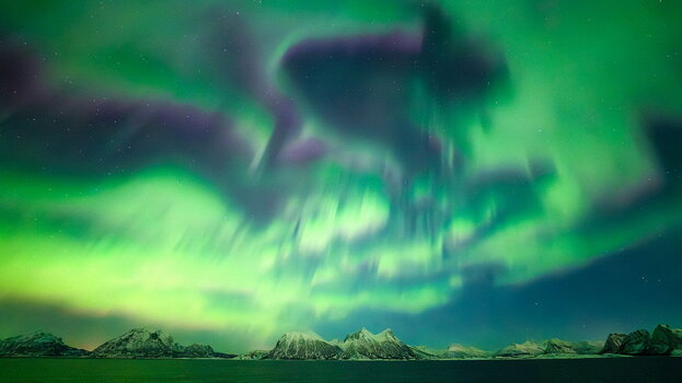 Weitwinkelaufnahme eines intensiven grünen und violetten Polarlichts über einer verschneiten norwegischen Gebirgskette am Meer.