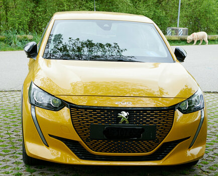 Auto_raten__DSC8182 1.jpg