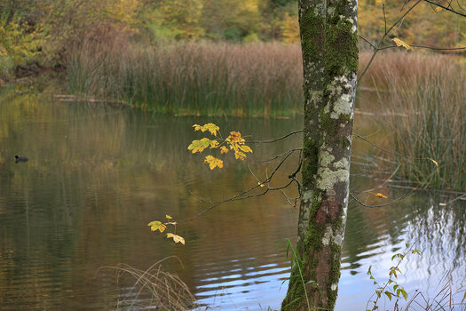 DSC_6704.f.jpg