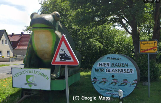 frosch in poggenhagen google.jpg