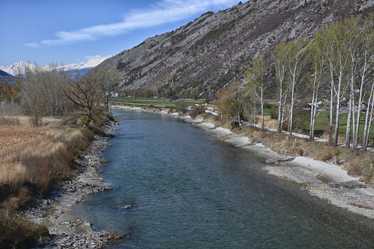 DSC_6675.f.jpg