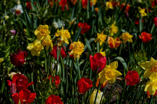 DSC_0087-DxO_DeepPRIME XD2s_DxO.jpg