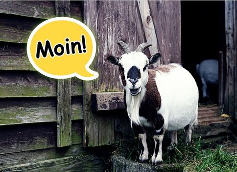 moin.jpg