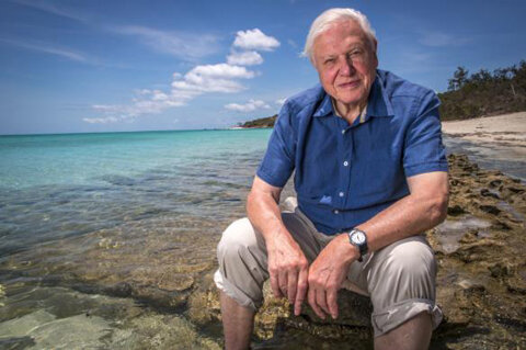 Foto von Sir David Attenborough, sitzend am Great Barrier Reef – aufgenommen für seine Serie über das Great Barrier Reef.