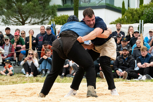 ROB_2080 Schwingen.jpg ROB_2080 Schwingen.jpg