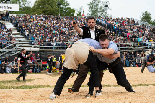 ROB_1788 Schwingen.jpg ROB_1788 Schwingen.jpg