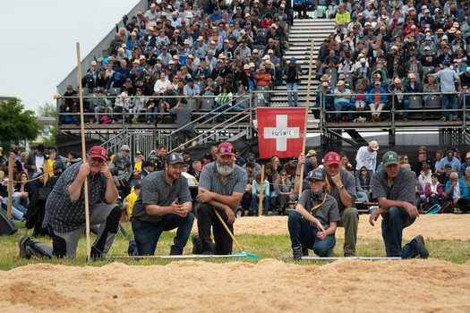 ROB_1865 Schwingen.jpg ROB_1865 Schwingen.jpg