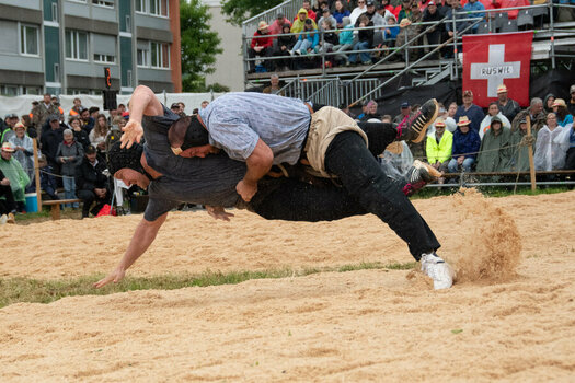 ROB_2279 Schwingen.jpg ROB_2279 Schwingen.jpg