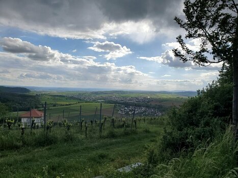 20260512_173015.jpeg