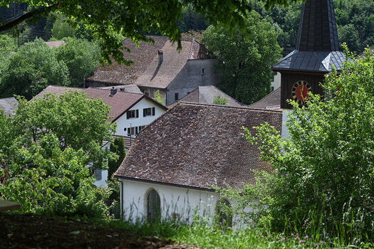 DSC_6832.f.jpg