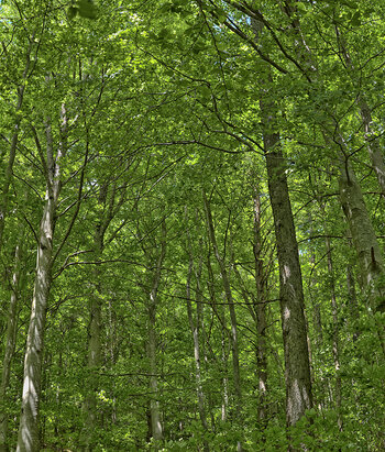 Neues Panorama 4.fff.jpg
