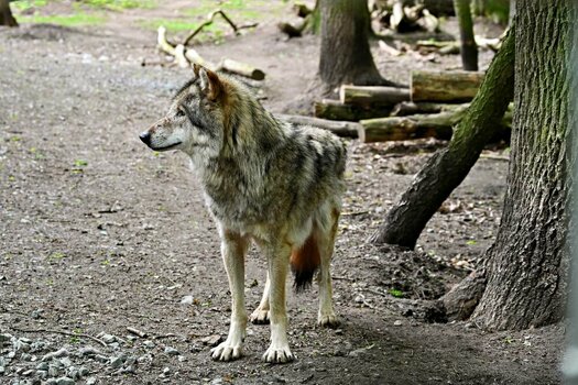 DSC_1236.jpg