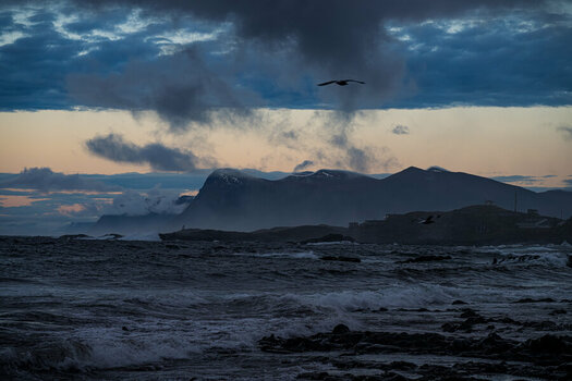 DSC_0659.jpg