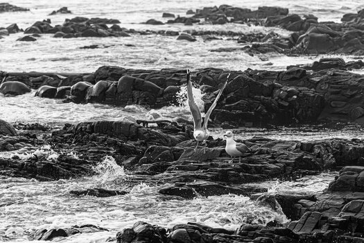 DSC_0665.jpg