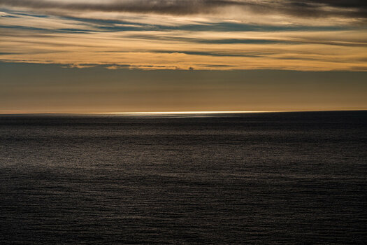 DSC_0980.jpg