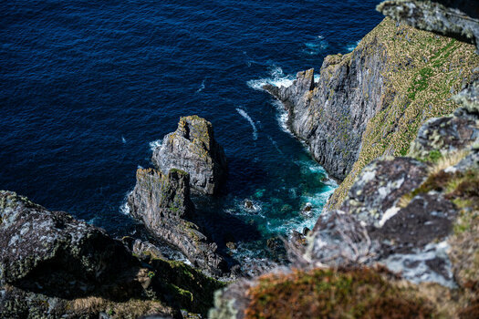 DSC_0717.jpg