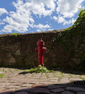 DSC_0267_DxO.jpg