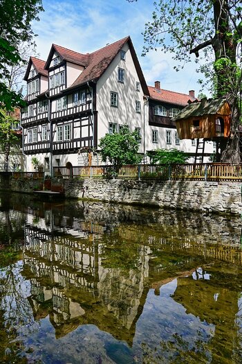 DSC_8048_l_k.jpg