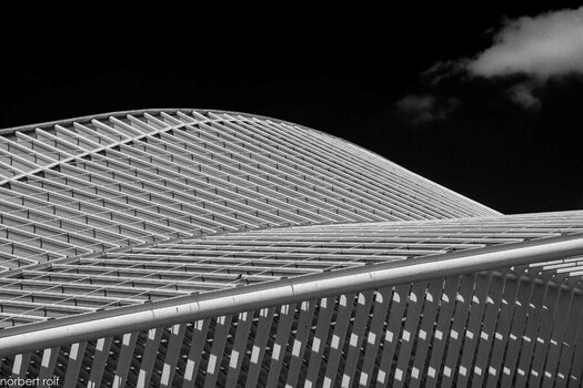calatrava lüttich-2.jpg