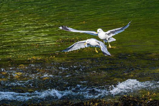 DSC_1258.jpg