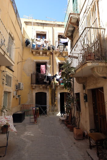 Ortygia_DSF8559.jpg