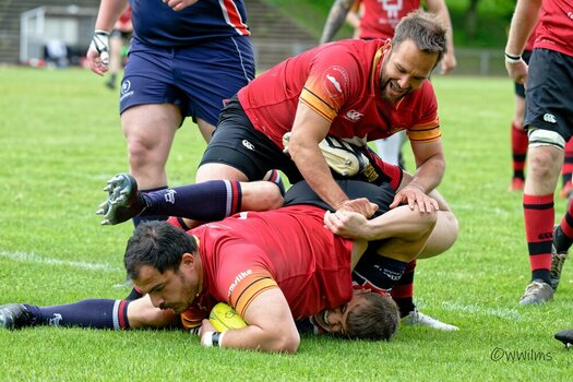DSC_4185_DxO - Kopie.jpg