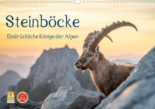 Majestätischer Steinbock in den Schweizer Alpen vor einer beeindruckenden Bergkulisse im natürlichen Licht.