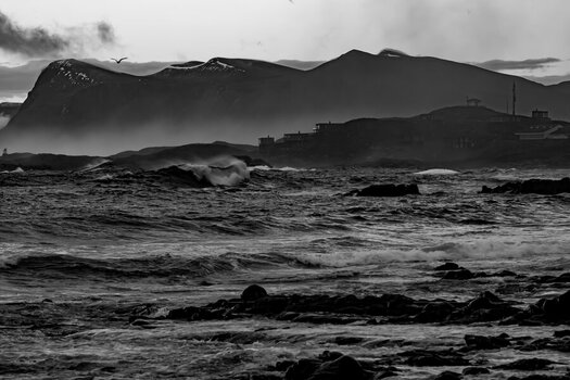 DSC_0662.jpg