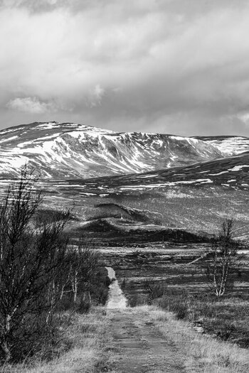DSC_1609.jpg