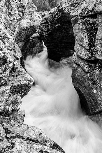 DSC_1624-2.jpg