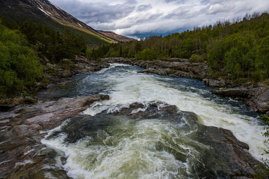 DSC_1636.jpg