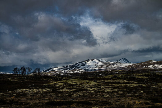 DSC_1594.jpg