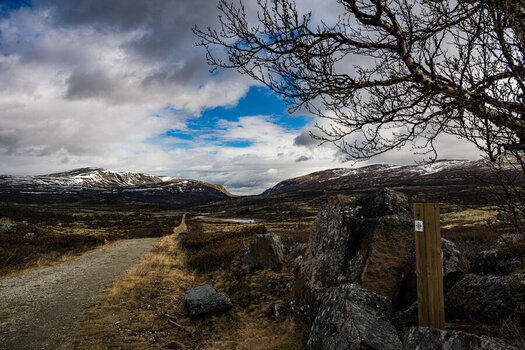 DSC_1591-3.jpg