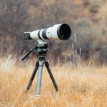 Großes Teleobjektiv auf dem Rollei Lion Rock Pro Instinct Carbon-Stativ in einer offenen Graslandschaft. Großes Teleobjektiv auf dem Rollei Lion Rock Pro Instinct Carbon-Stativ in einer offenen Graslandschaft.