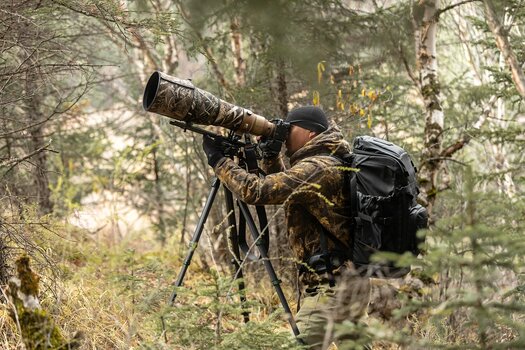Naturfotograf mit Tarnkleidung und Superteleobjektiv auf dem Rollei Lion Rock Pro Instinct Carbon-Stativ im Wald. Naturfotograf mit Tarnkleidung und Superteleobjektiv auf dem Rollei Lion Rock Pro Instinct Carbon-Stativ im Wald.
